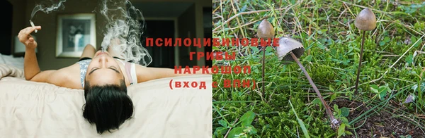 соль курить ск Пролетарск