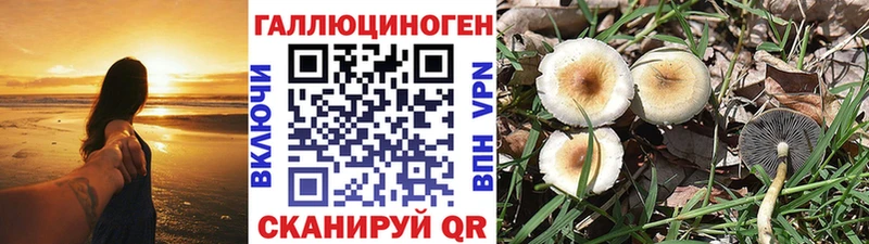 Галлюциногенные грибы Magic Shrooms  Полтавская 